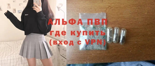 PSILOCYBIN Белокуриха