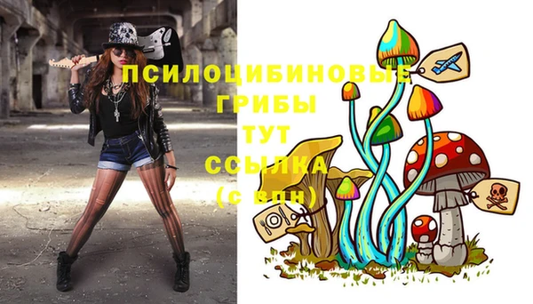 дживик Белоозёрский