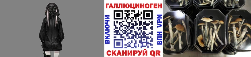 ссылка на мегу tor  Минеральные Воды  Галлюциногенные грибы Psilocybe 